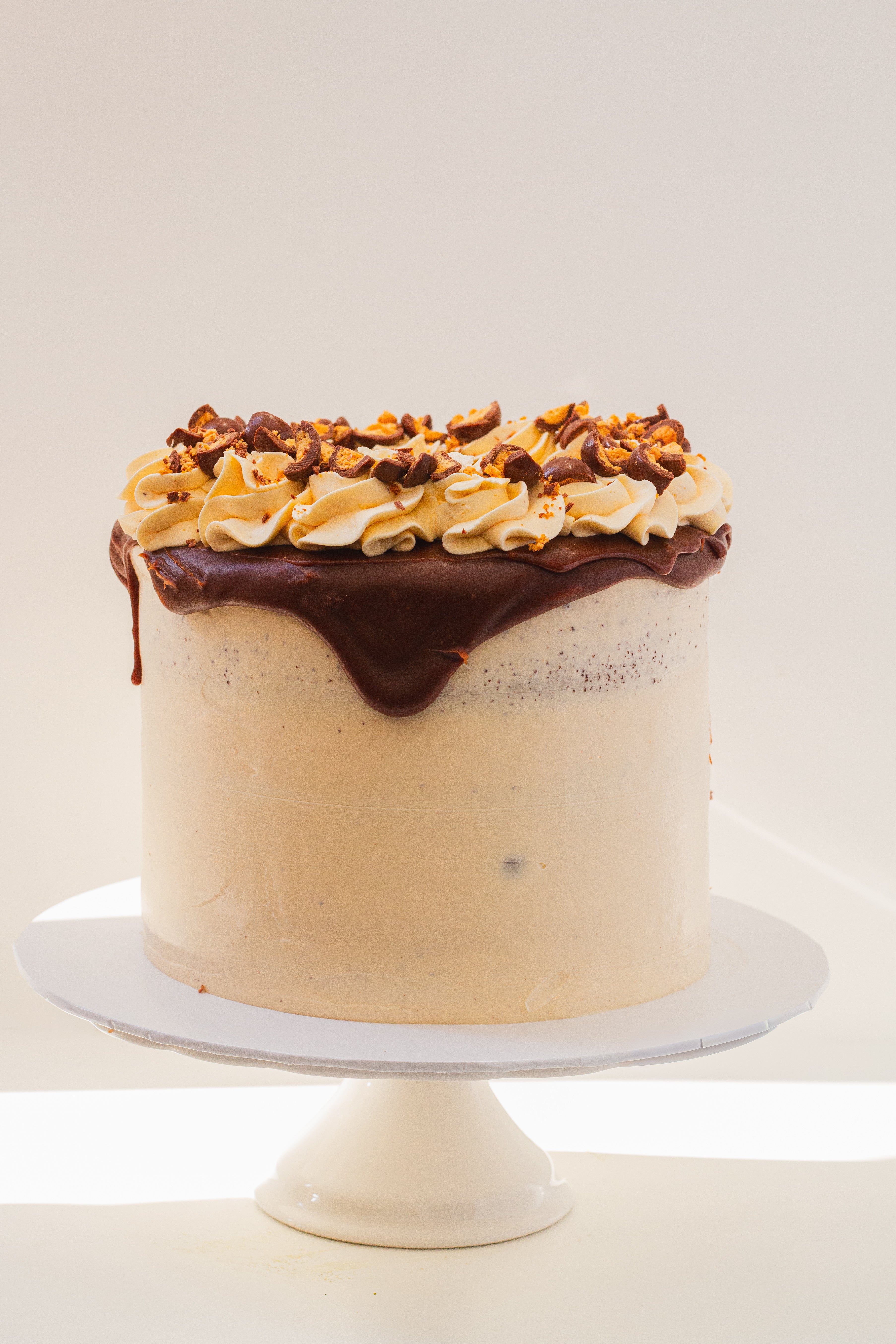 Moist malt chocolate