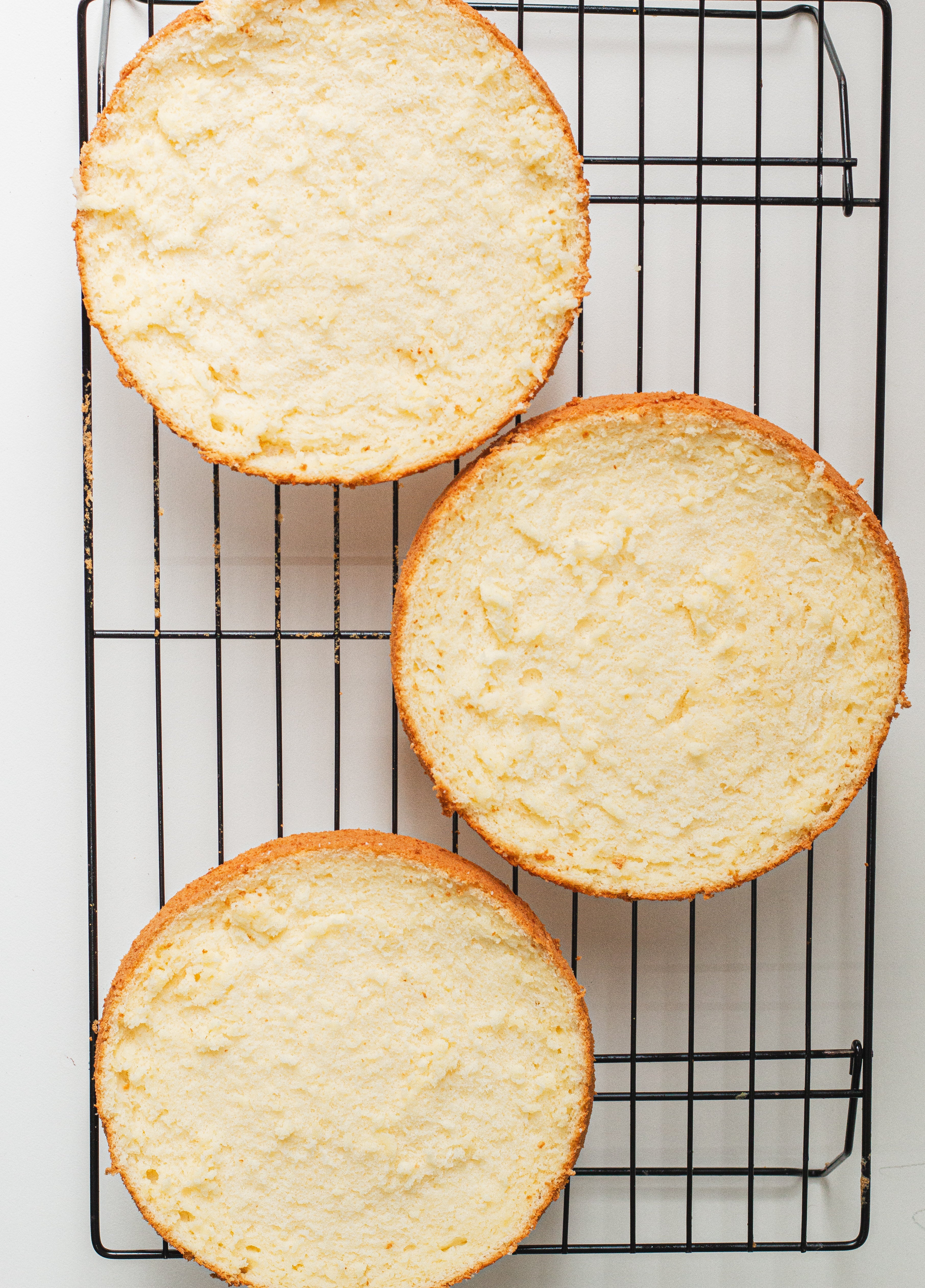 Chiffon Vanilla Sponge