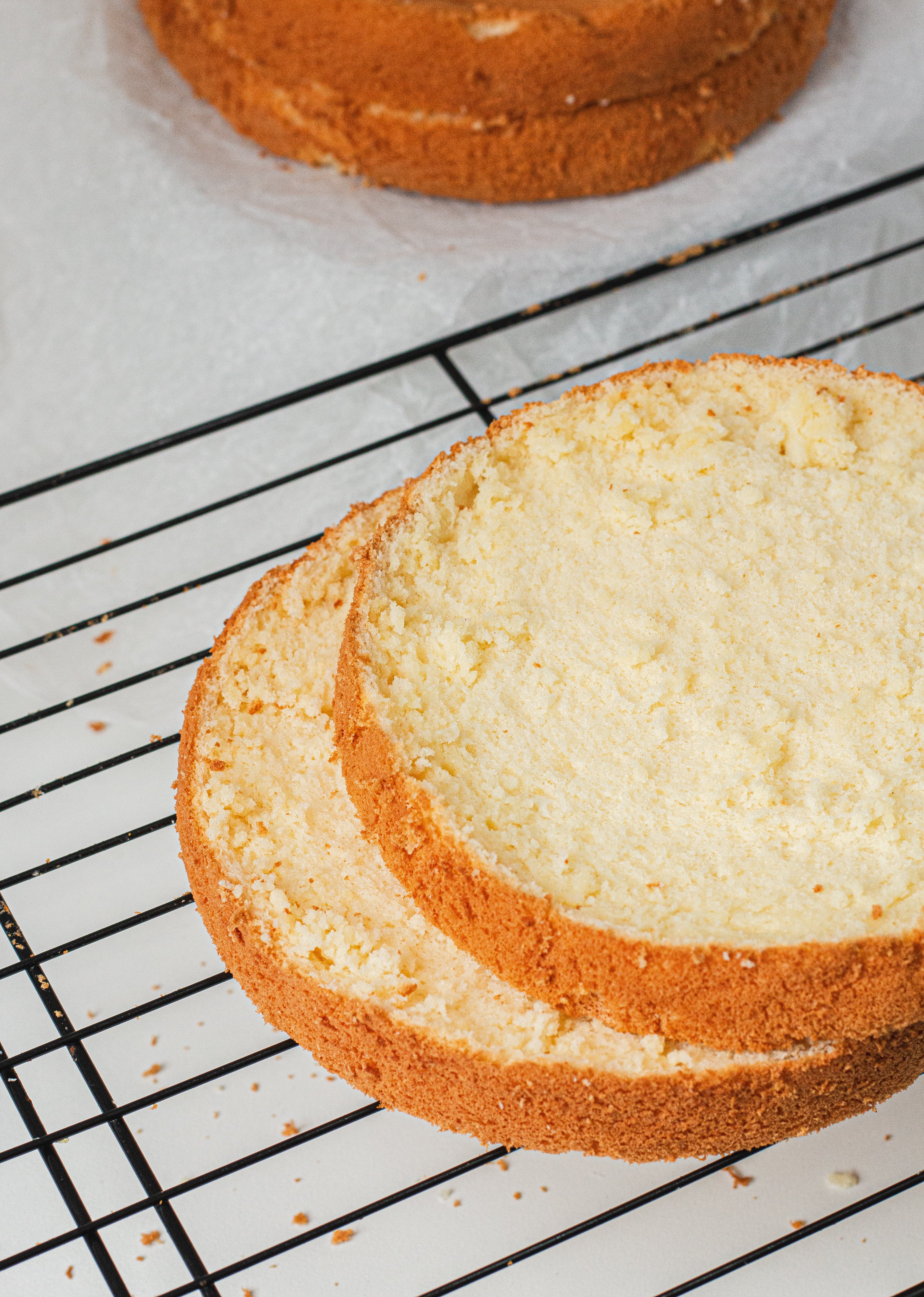 Chiffon Vanilla Sponge