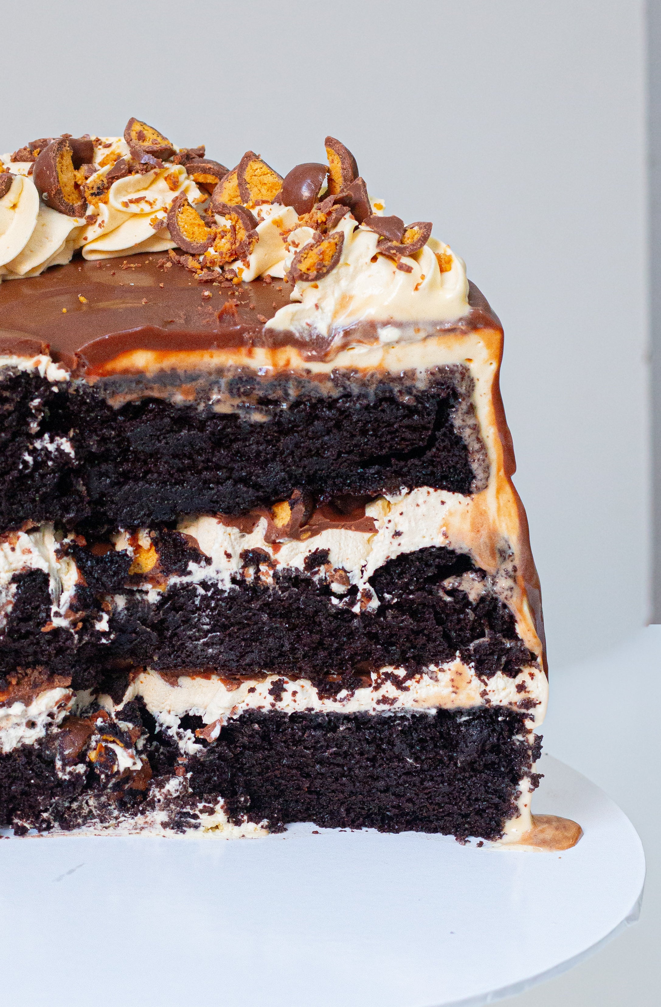 Moist malt chocolate