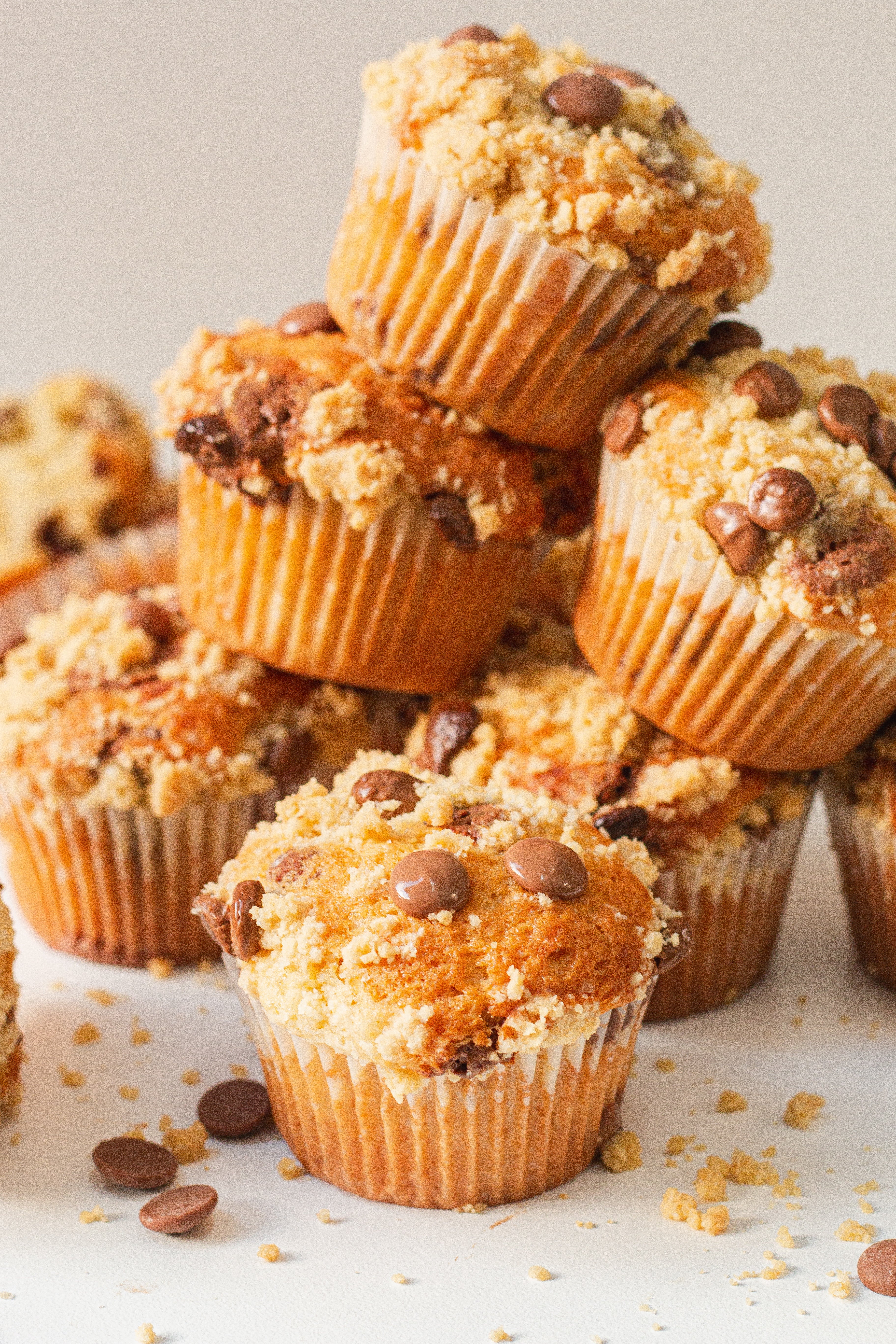 Chocolate chip muffin