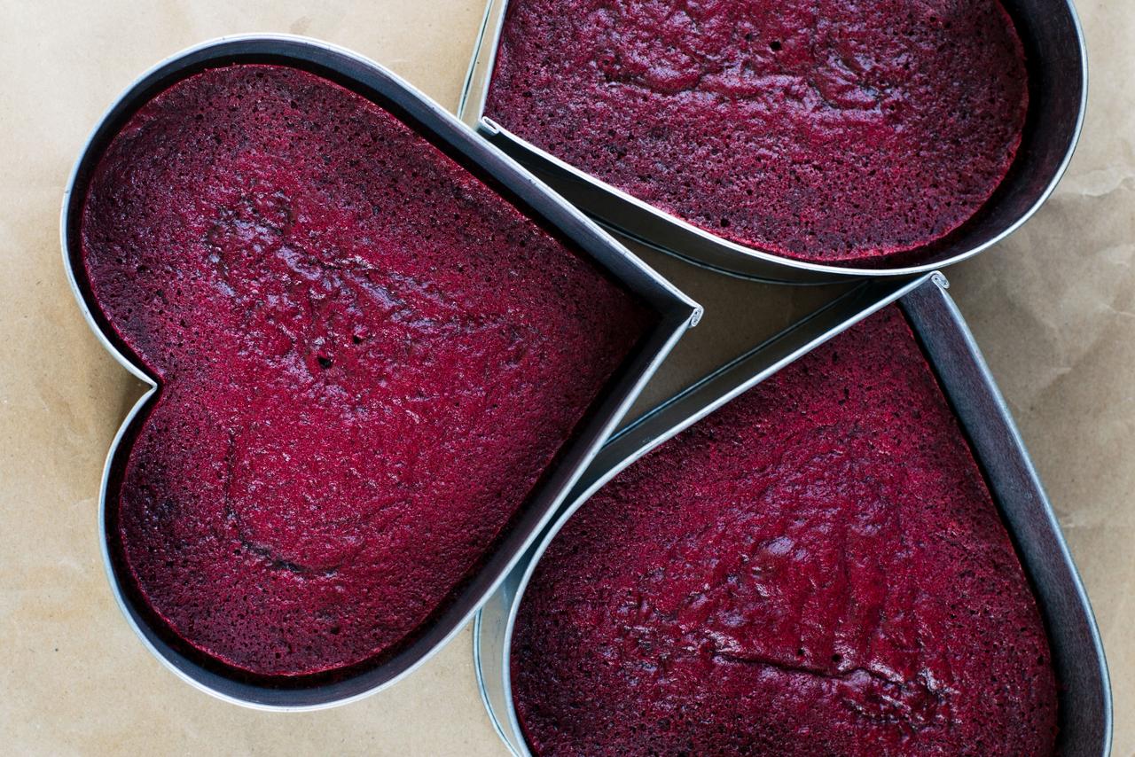 One Day Sponges ONLY Class